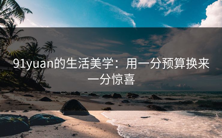 91yuan的生活美学：用一分预算换来一分惊喜