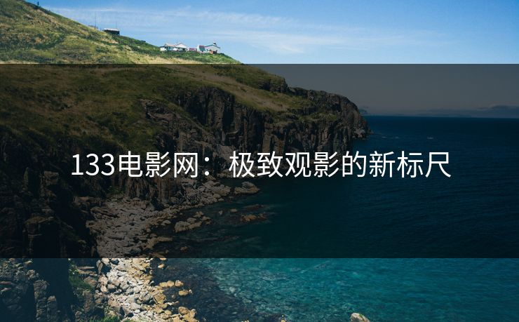 133电影网：极致观影的新标尺