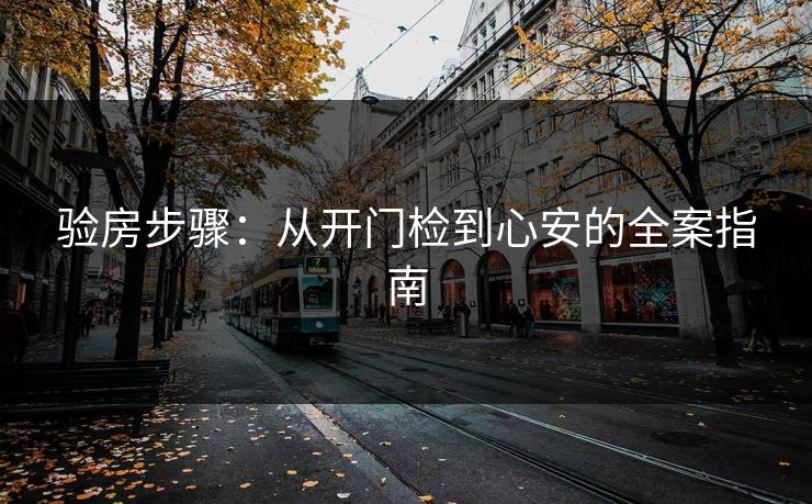 验房步骤：从开门检到心安的全案指南