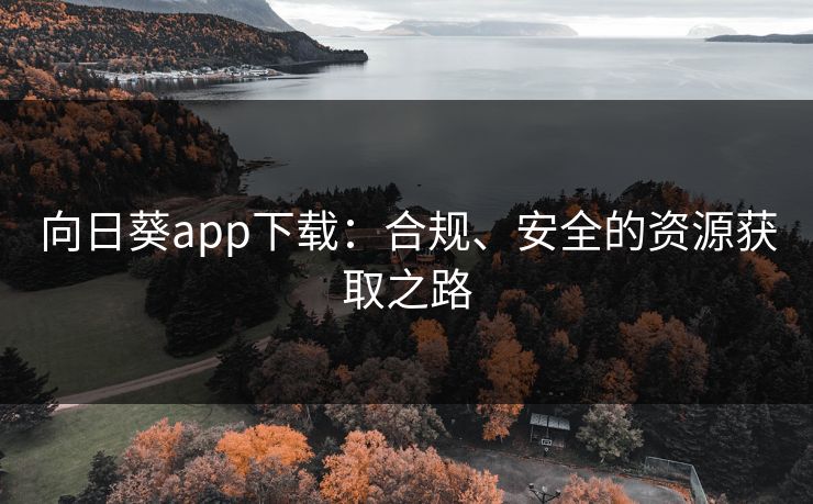 向日葵app下载：合规、安全的资源获取之路